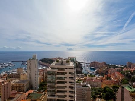 Прекрасная квартира у моря в Монако