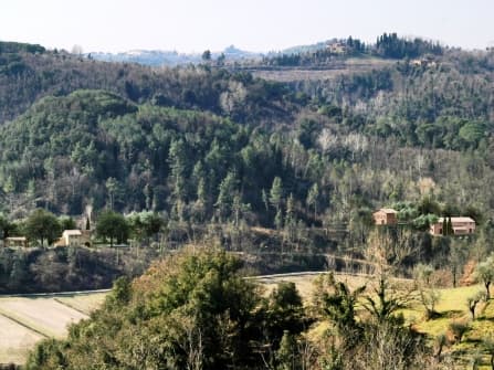 Земельный участок в Тоскане на продажу