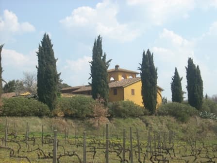 Вилла с винодельческим хозяйством в Пизе