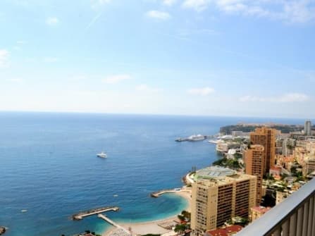 Элитный апартамент в Монте Карло